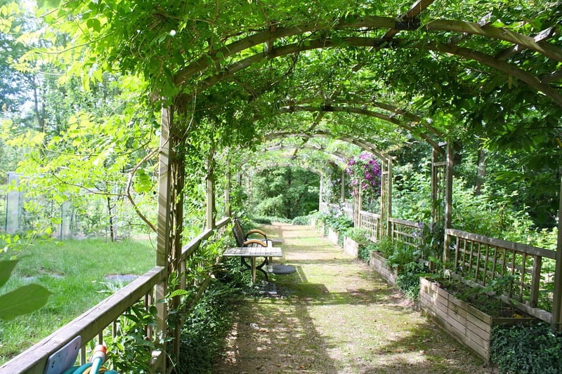 Pergola and Arbor