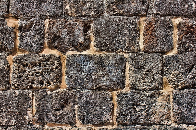 Wall-Mounted Trellis